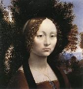 Leonardo  Da Vinci Portrait of Ginevra de' Benci oil